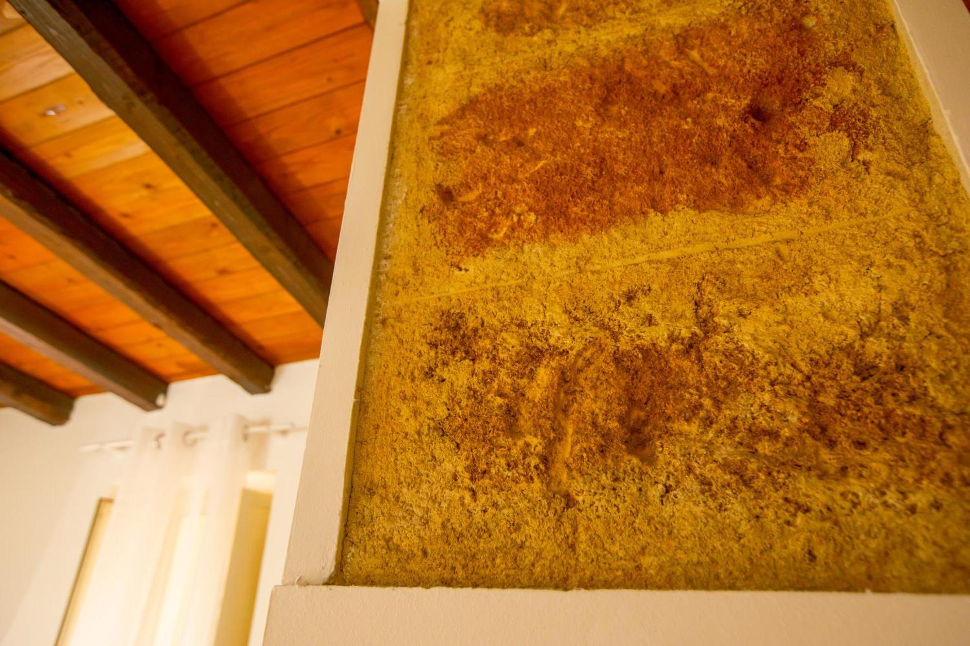 Apartament Casa D'Amari Palermo Zewnętrze zdjęcie